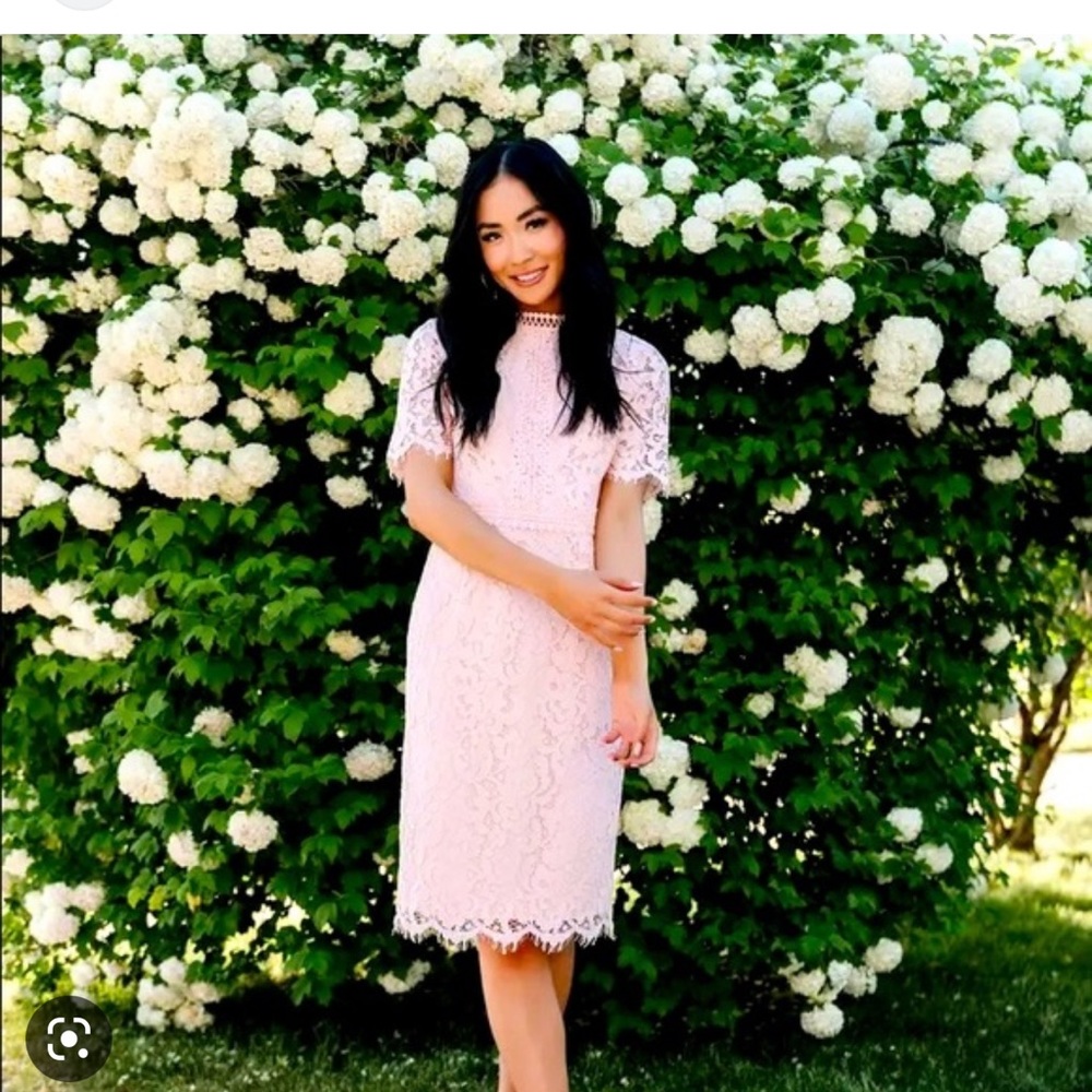 Rachel Parcell midi lace dress